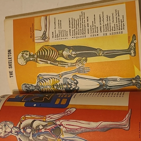 Vintage First Aid Book Fourth Edition - Picture 8 of 11